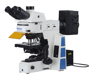 UPRIGHT FLUORESCENCE MF-2000 SERIES