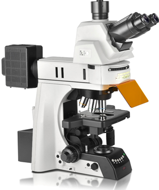 FLUORESCENCE MICROSCOPES MF-1000 SERIES