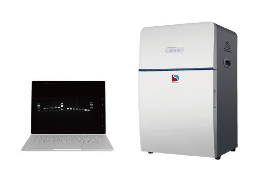 GEL DOCUMENTATION SYSTEM GS-1000