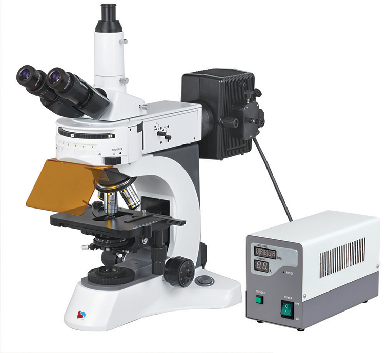 UPRIGHT FLUORESCENCE MF-2100 SERIES